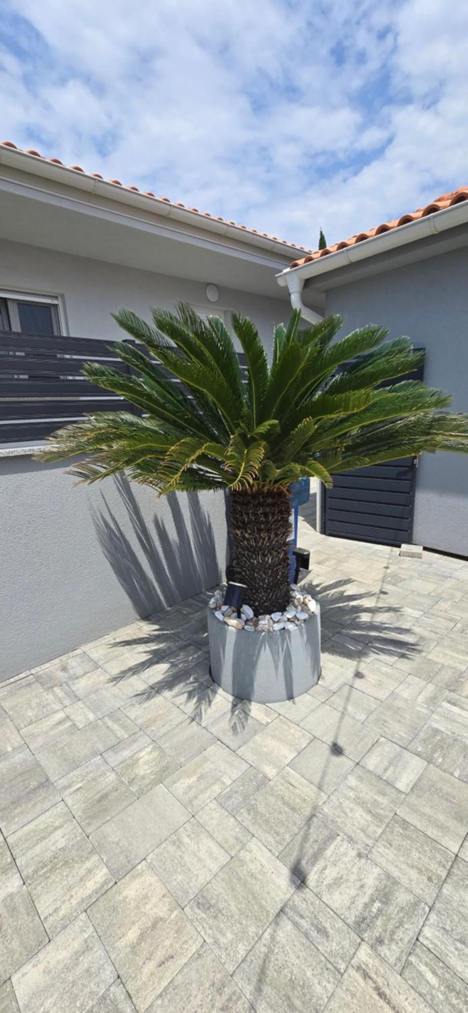פובילה House Vallis Aurea מראה חיצוני תמונה